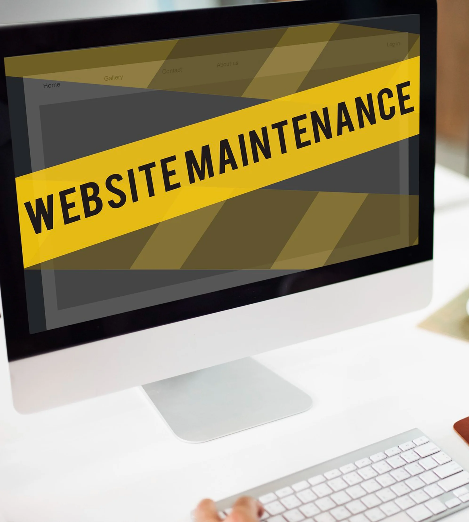 Nahid Alam - Services