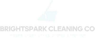 brightspark-cleaning-co-logo-nahid-alam