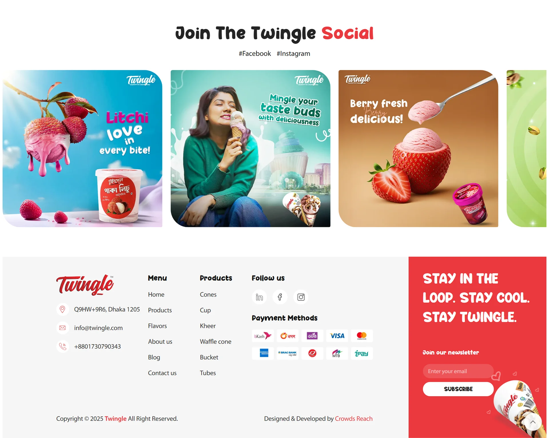 twingle-icecream-woocommerce-website-developed-by-nahid-alam